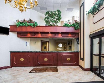 Comfort Inn & Suites - image 5