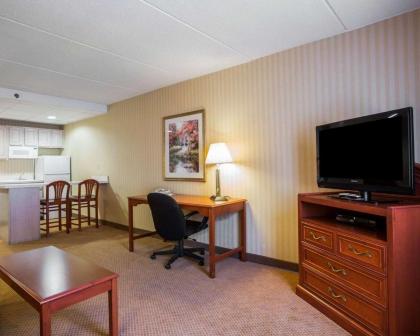 Comfort Inn & Suites - image 9