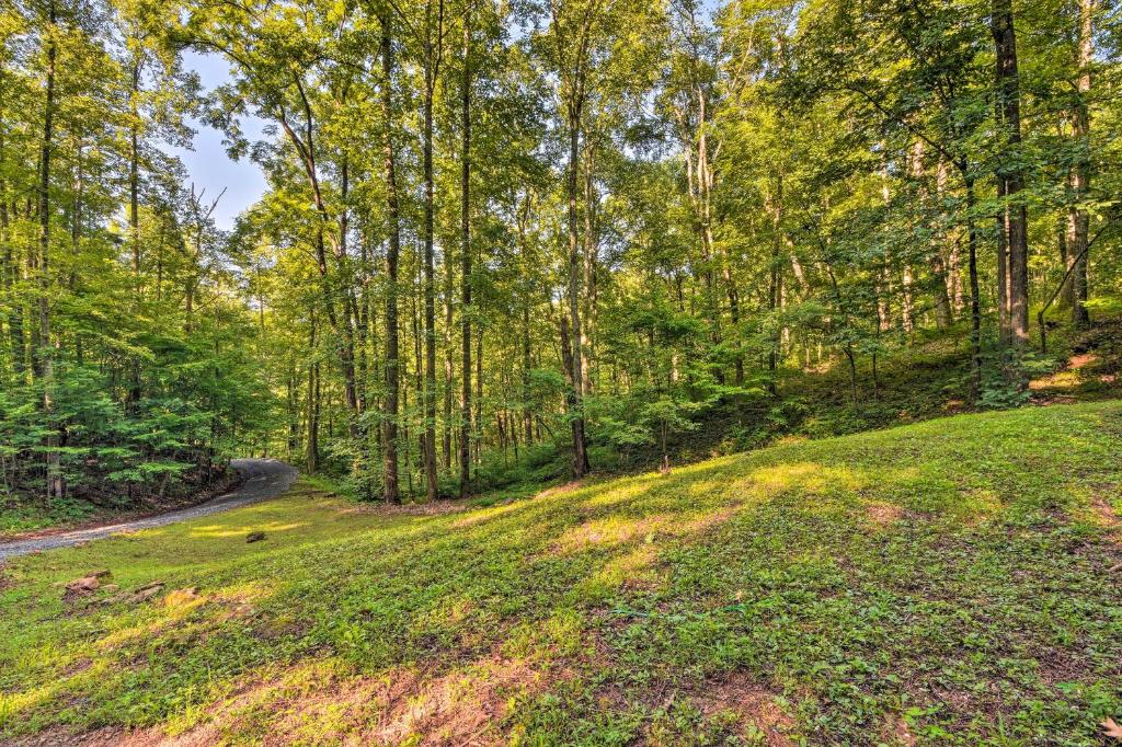 Secluded Cabin with Porch - 7 Miles to Lake Chatuge! - image 3