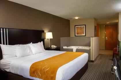 Holiday Inn Express & Suites Hayward an IHG Hotel - image 4