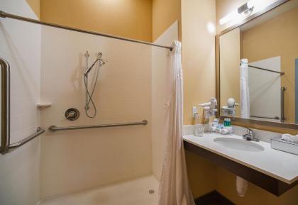 Best Western St. Louis Airport North Hotel & Suites - image 2