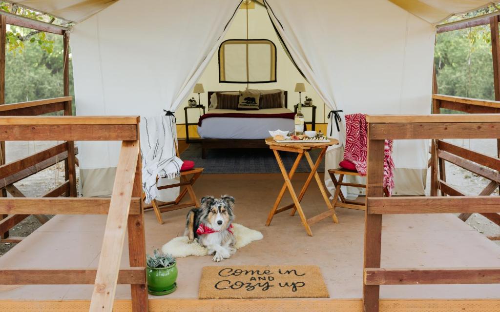 Wildhaven Sonoma Glamping - main image