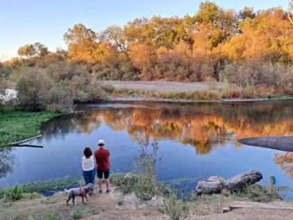 Wildhaven Sonoma Glamping - image 10