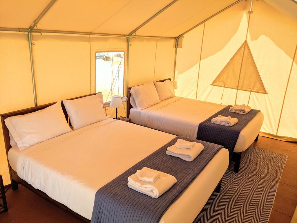 Wildhaven Sonoma Glamping - image 5