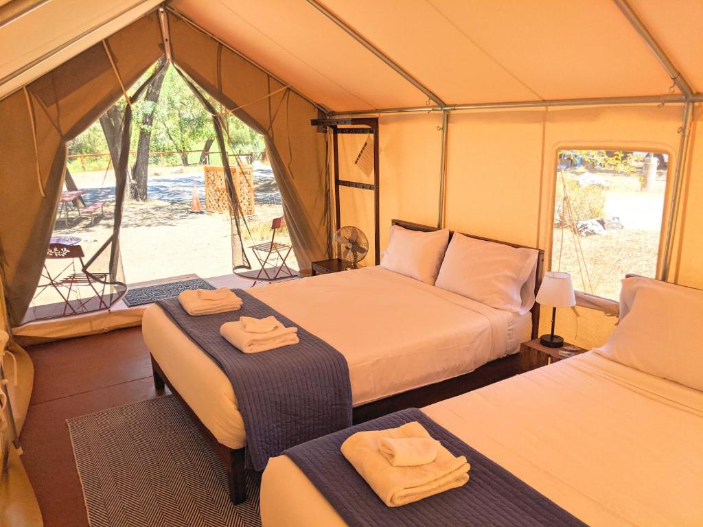 Wildhaven Sonoma Glamping - image 6