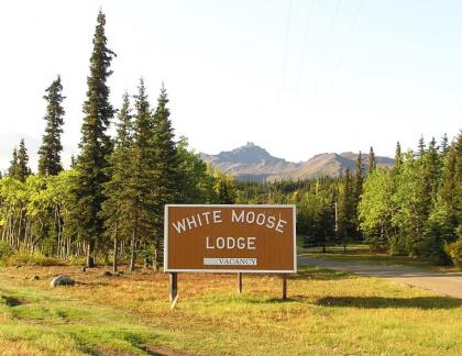 White Moose Lodge - image 5