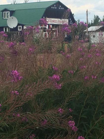 FireWeed RoadHouse - image 11