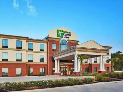 Holiday Inn Express Hotel & Suites Hearne - image 14