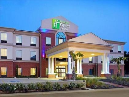 Holiday Inn Express Hotel & Suites Hearne - image 15