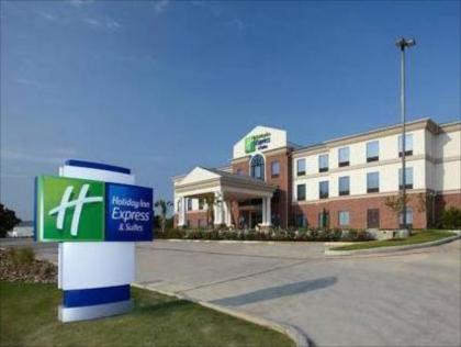 Holiday Inn Express Hotel & Suites Hearne - image 18