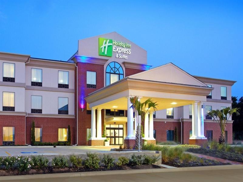 Holiday Inn Express Hotel & Suites Hearne - image 2