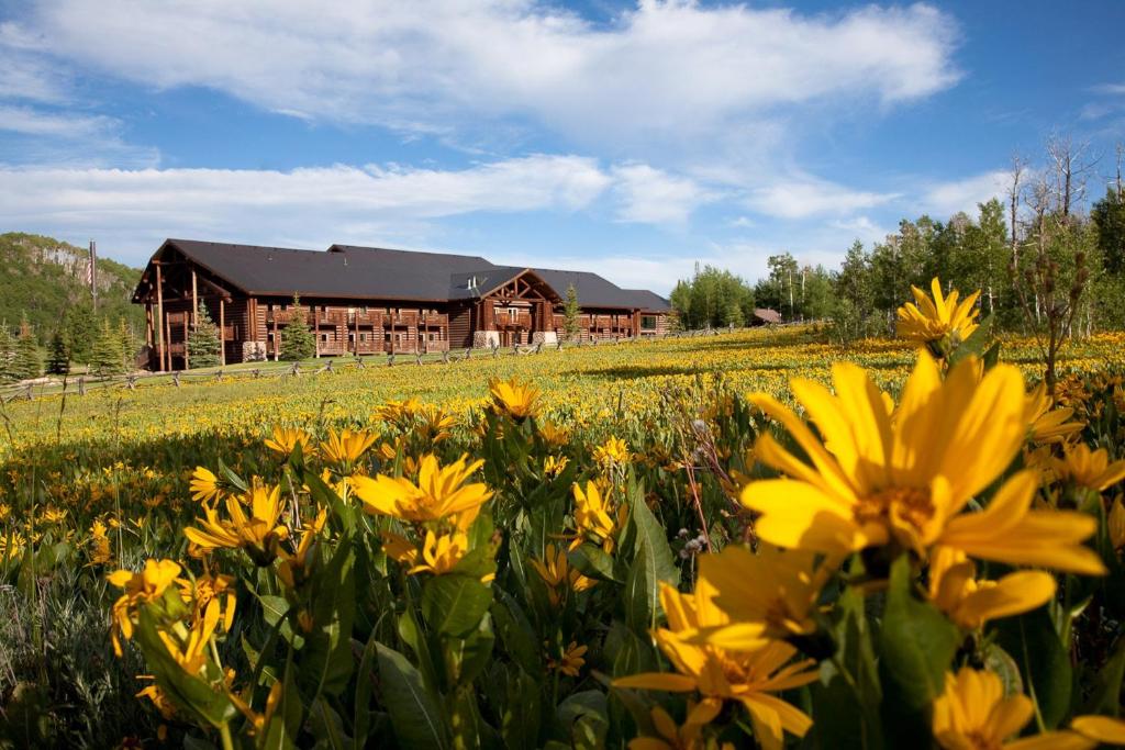 Daniels Summit Lodge - main image