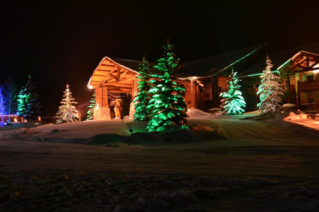 Daniels Summit Lodge - image 6