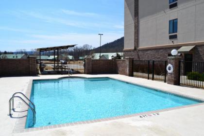 Holiday Inn Express and Suites Heber Springs an IHG Hotel - image 13