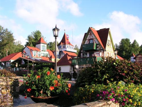 Black Forest Vacation Rentals - main image