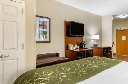 Comfort Suites Helena Airport - image 10