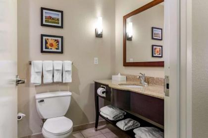 Comfort Suites Helena Airport - image 11