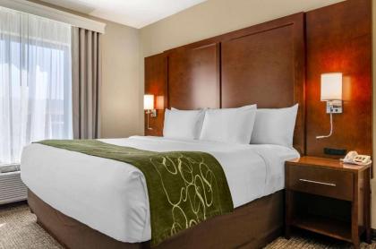 Comfort Suites Helena Airport - image 13