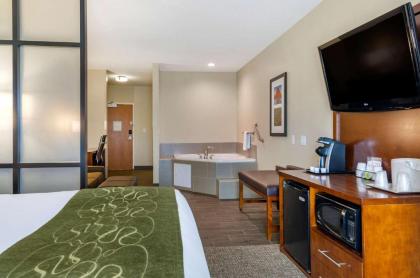 Comfort Suites Helena Airport - image 14