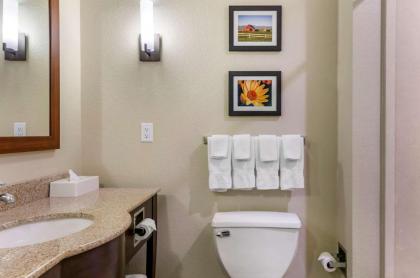 Comfort Suites Helena Airport - image 8