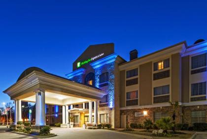 Holiday Inn Express Hotel & Suites Henderson - Traffic Star an IHG Hotel - image 18