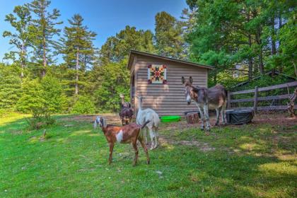 Rustic and Authentic Farm Stay by DuPont Forest - image 3