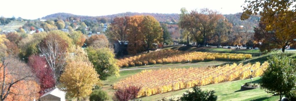 Stone Hill Overlook - image 7