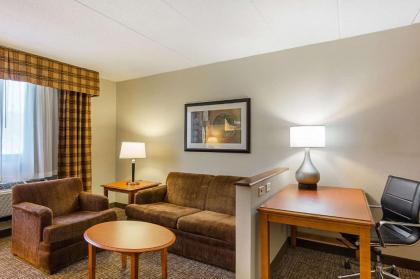 Comfort Inn Herndon-Reston - image 16