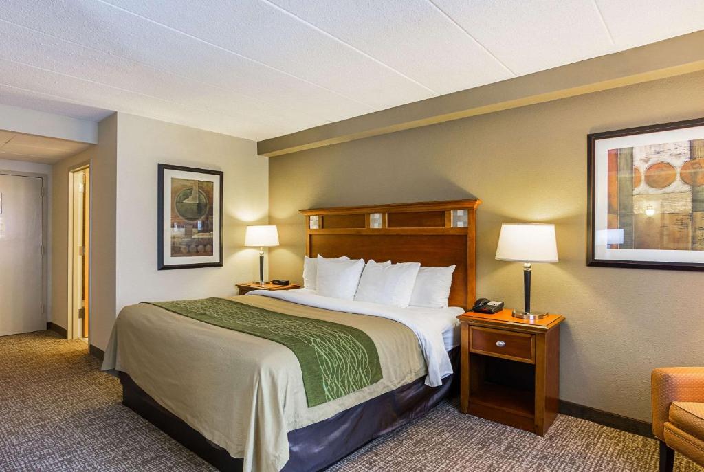 Comfort Inn Herndon-Reston - image 5