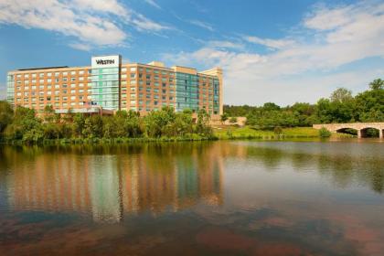 The Westin Washington Dulles Airport - image 8