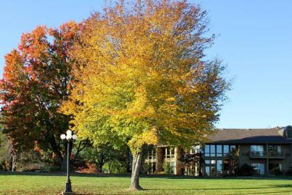 The Ridges Resort on Lake Chatuge - image 9