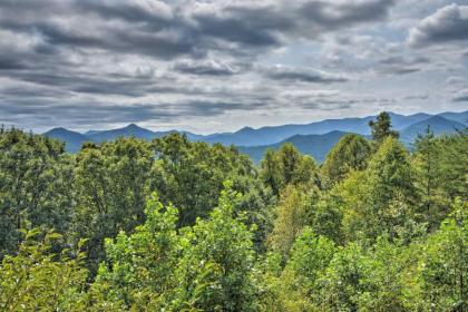 Frog Leap Hiawassee Cabin with Blue Ridge Mtn Views - image 2