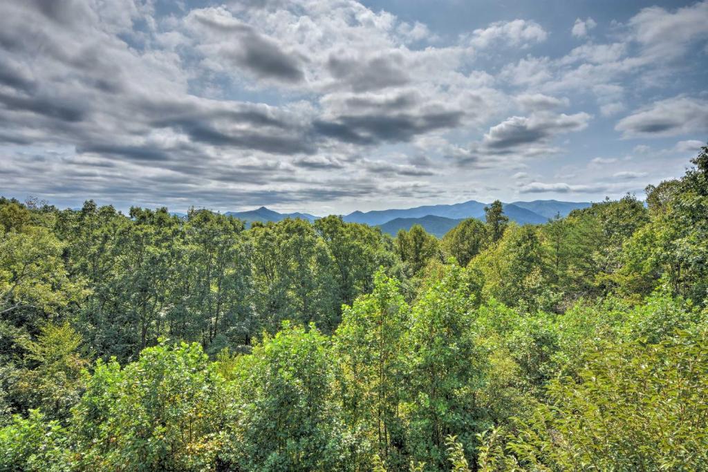 Frog Leap Hiawassee Cabin with Blue Ridge Mtn Views - image 5