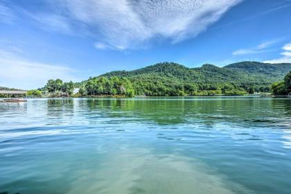 Luxury Lakefront Hiawassee Cottage with Boat Dock! - image 8