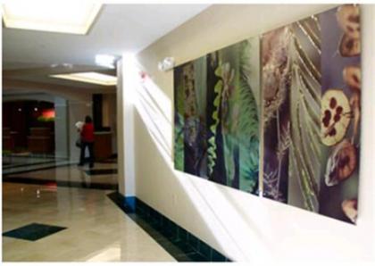 Courtyard by Marriott Hickory - image 9