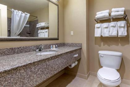 Comfort Inn & Suites High Point - Archdale - image 14