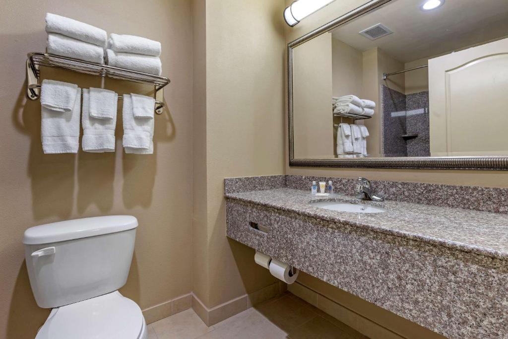 Comfort Inn & Suites High Point - Archdale - image 7