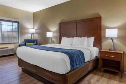 Comfort Inn & Suites High Point - Archdale - image 8