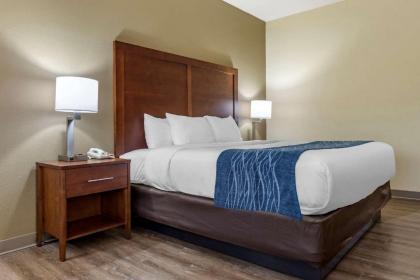 Comfort Inn & Suites High Point - Archdale - image 9