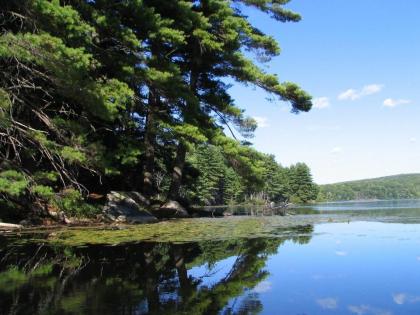 Tentrr State Park Site - Harriman State Park Silvermine - Middle - image 4