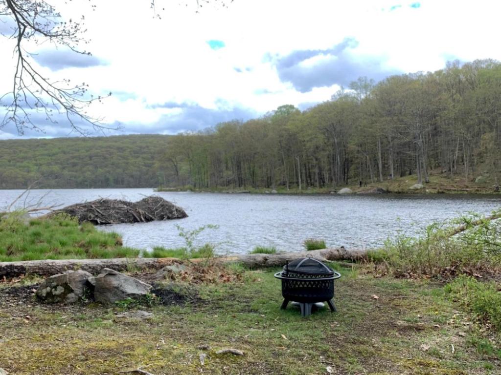 Tentrr State Park Site - Harriman State Park Silvermine - Middle - image 6