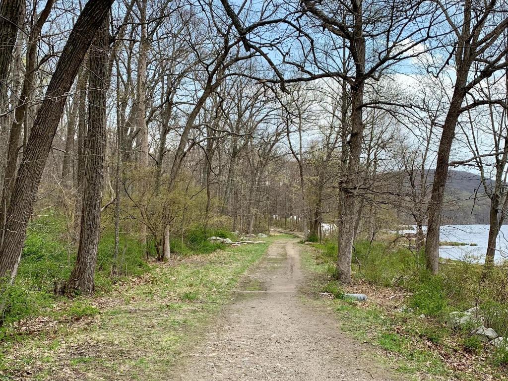 Tentrr State Park Site - Harriman State Park Far End of Silvermine - image 7