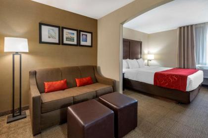 Comfort Suites Highlands Ranch Denver Tech Center Area - image 4