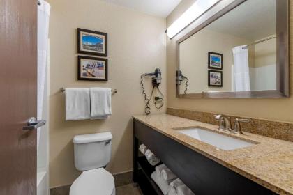 Comfort Suites Highlands Ranch Denver Tech Center Area - image 6