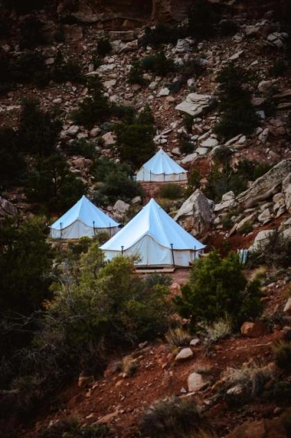 Zion Glamping Adventures - image 9