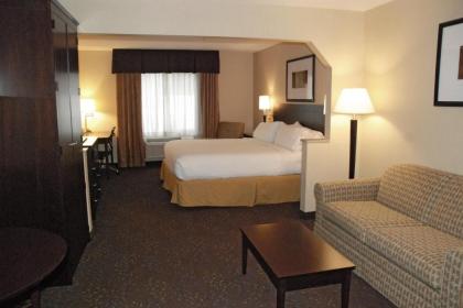 Holiday Inn Express & Suites Hill City-Mt. Rushmore Area - image 11