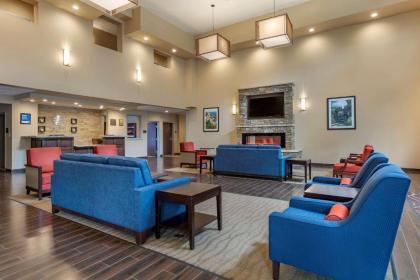 Comfort Inn & Suites Near Mt. Rushmore - image 2