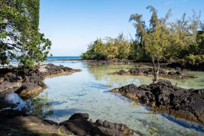 Hilo Condo with Pool Steps from Carlsmith Beach Park! - image 3