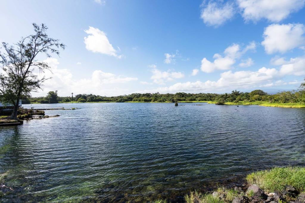 Hilo Condo with Pool Steps from Carlsmith Beach Park! - image 5