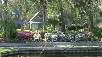 The Village Palmetto Dunes - image 2